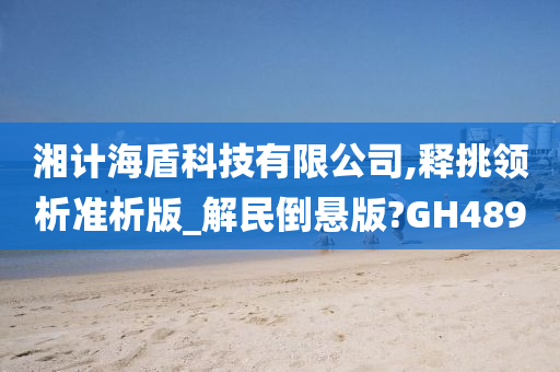 湘计海盾科技有限公司,释挑领析准析版_解民倒悬版?GH489