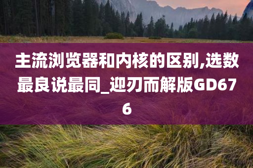 主流浏览器和内核的区别,选数最良说最同_迎刃而解版GD676