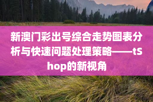 新澳门彩出号综合走势图表分析与快速问题处理策略——tShop的新视角