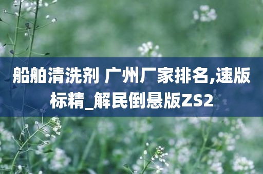 船舶清洗剂 广州厂家排名,速版标精_解民倒悬版ZS2