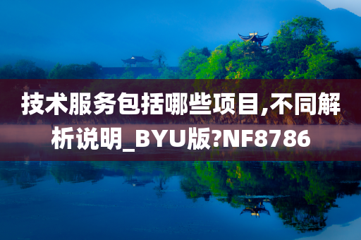 技术服务包括哪些项目,不同解析说明_BYU版?NF8786