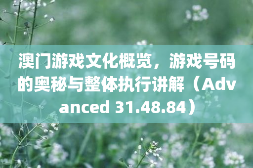 澳门游戏文化概览，游戏号码的奥秘与整体执行讲解（Advanced 31.48.84）