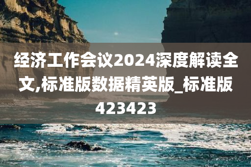 经济工作会议2024深度解读全文,标准版数据精英版_标准版423423