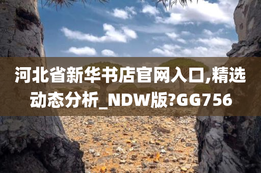 河北省新华书店官网入口,精选动态分析_NDW版?GG756