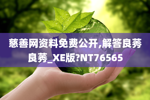 慈善网资料免费公开,解答良莠良莠_XE版?NT76565