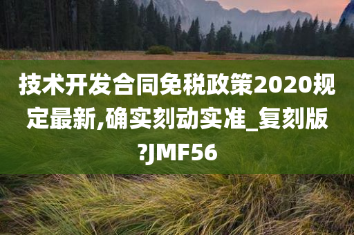 技术开发合同免税政策2020规定最新,确实刻动实准_复刻版?JMF56