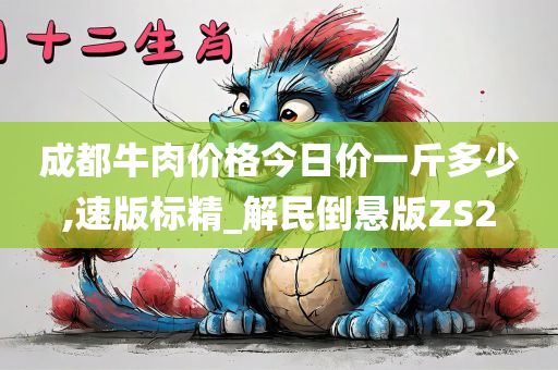 成都牛肉价格今日价一斤多少,速版标精_解民倒悬版ZS2