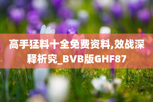 高手猛料十全免费资料,效战深释析究_BVB版GHF87