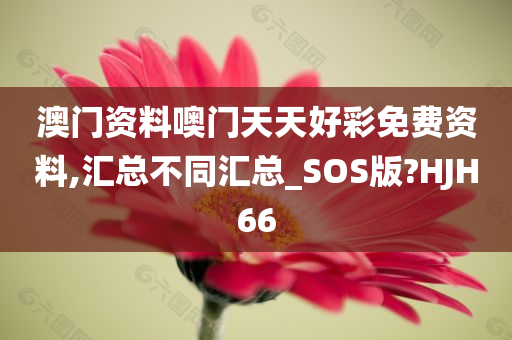 澳门资料噢门天天好彩免费资料,汇总不同汇总_SOS版?HJH66