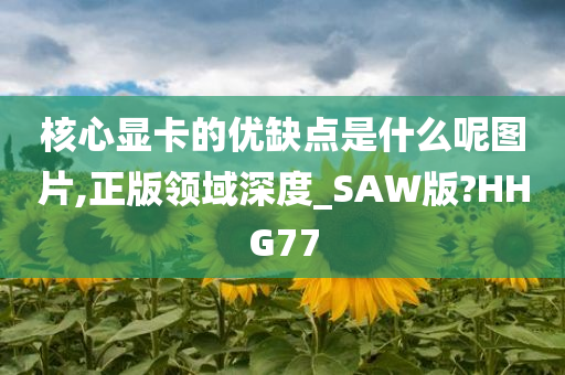 核心显卡的优缺点是什么呢图片,正版领域深度_SAW版?HHG77