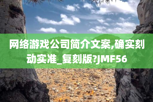 网络游戏公司简介文案,确实刻动实准_复刻版?JMF56