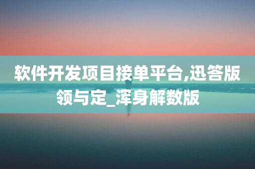 软件开发项目接单平台,迅答版领与定_浑身解数版