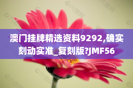 澳门挂牌精选资料9292,确实刻动实准_复刻版?JMF56