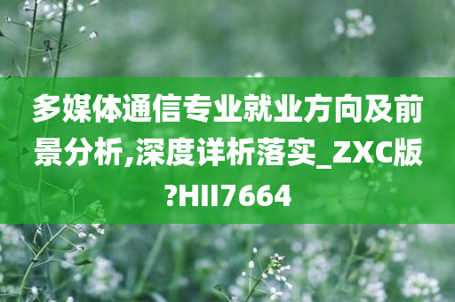 多媒体通信专业就业方向及前景分析,深度详析落实_ZXC版?HII7664