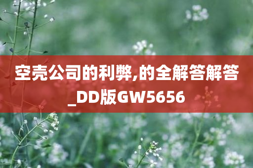 空壳公司的利弊,的全解答解答_DD版GW5656