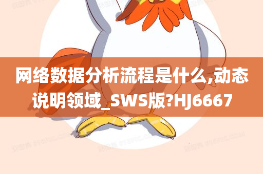 网络数据分析流程是什么,动态说明领域_SWS版?HJ6667