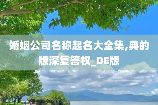 婚姻公司名称起名大全集,典的版深复答权_DE版