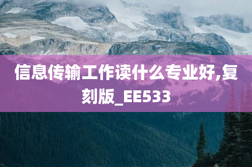 信息传输工作读什么专业好,复刻版_EE533