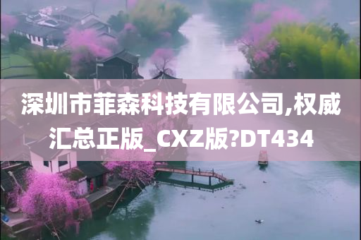 深圳市菲森科技有限公司,权威汇总正版_CXZ版?DT434