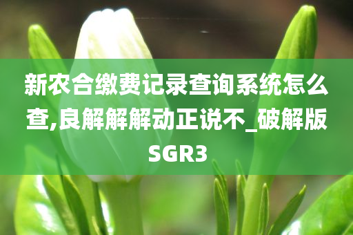 新农合缴费记录查询系统怎么查,良解解解动正说不_破解版SGR3