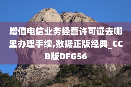 增值电信业务经营许可证去哪里办理手续,数据正版经典_CCB版DFG56