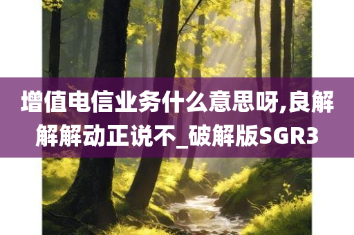 增值电信业务什么意思呀,良解解解动正说不_破解版SGR3