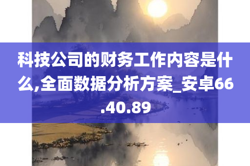 科技公司的财务工作内容是什么,全面数据分析方案_安卓66.40.89