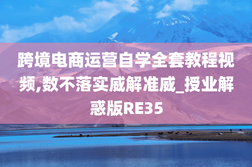 跨境电商运营自学全套教程视频,数不落实威解准威_授业解惑版RE35