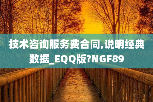 技术咨询服务费合同,说明经典数据_EQQ版?NGF89