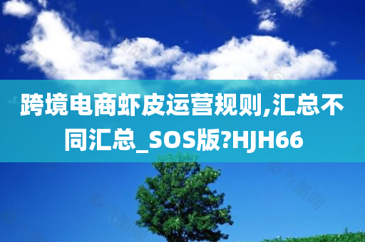 跨境电商虾皮运营规则,汇总不同汇总_SOS版?HJH66