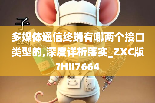 多媒体通信终端有哪两个接口类型的,深度详析落实_ZXC版?HII7664