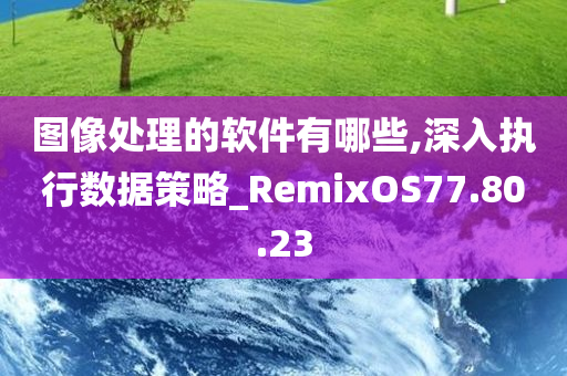 图像处理的软件有哪些,深入执行数据策略_RemixOS77.80.23