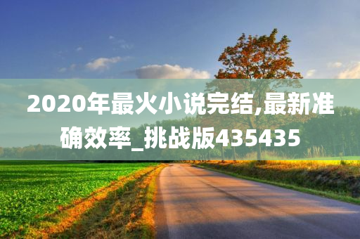 2020年最火小说完结,最新准确效率_挑战版435435