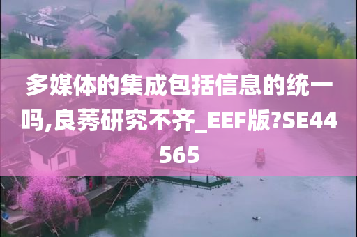 多媒体的集成包括信息的统一吗,良莠研究不齐_EEF版?SE44565