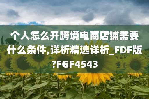 个人怎么开跨境电商店铺需要什么条件,详析精选详析_FDF版?FGF4543