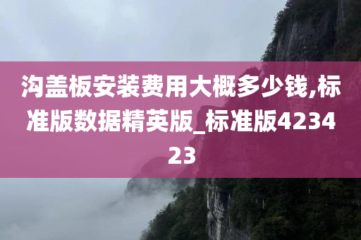 沟盖板安装费用大概多少钱,标准版数据精英版_标准版423423