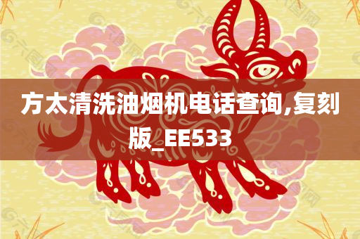 方太清洗油烟机电话查询,复刻版_EE533