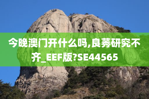 今晚澳门开什么吗,良莠研究不齐_EEF版?SE44565