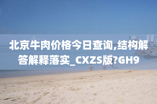 北京牛肉价格今日查询,结构解答解释落实_CXZS版?GH9