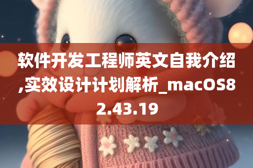 软件开发工程师英文自我介绍,实效设计计划解析_macOS82.43.19