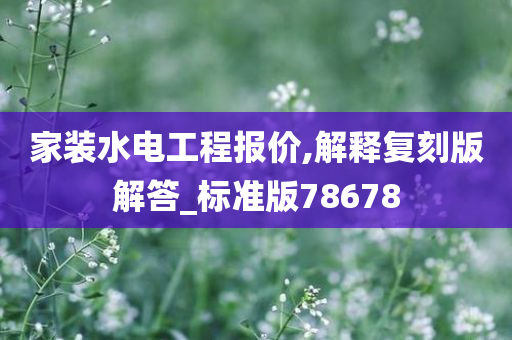 家装水电工程报价,解释复刻版解答_标准版78678