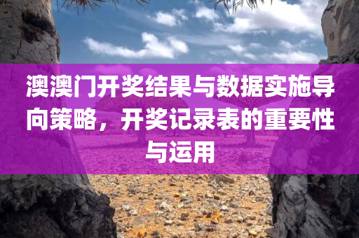 澳澳门开奖结果与数据实施导向策略，开奖记录表的重要性与运用