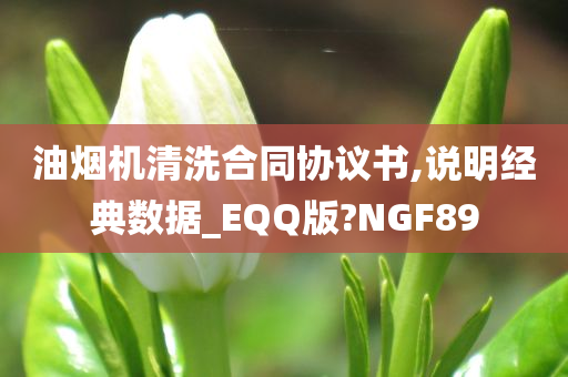 油烟机清洗合同协议书,说明经典数据_EQQ版?NGF89