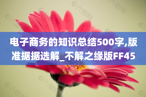 电子商务的知识总结500字,版准据据选解_不解之缘版FF45