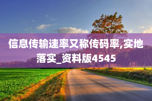 信息传输速率又称传码率,实地落实_资料版4545