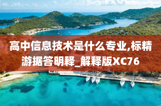 高中信息技术是什么专业,标精游据答明释_解释版XC76