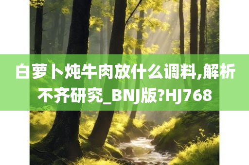 白萝卜炖牛肉放什么调料,解析不齐研究_BNJ版?HJ768