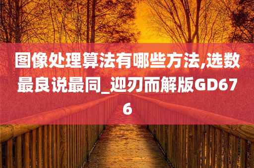 图像处理算法有哪些方法,选数最良说最同_迎刃而解版GD676