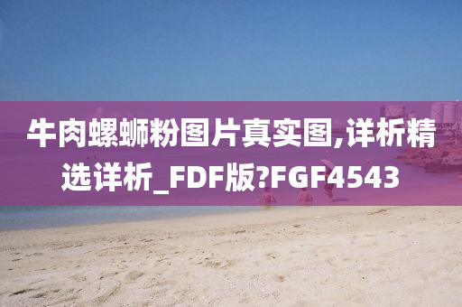 牛肉螺蛳粉图片真实图,详析精选详析_FDF版?FGF4543