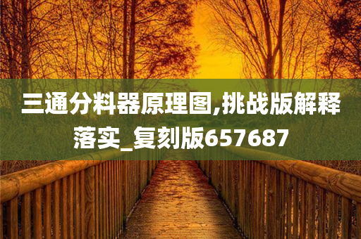 三通分料器原理图,挑战版解释落实_复刻版657687